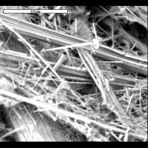 fibras microscopio