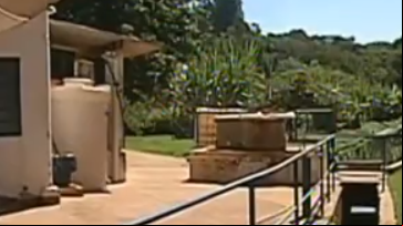 video 50