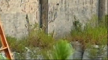 video 53