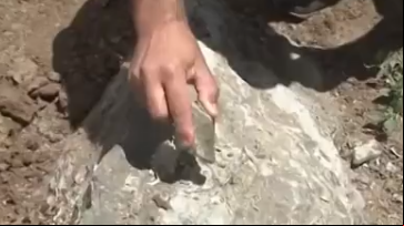 video 6